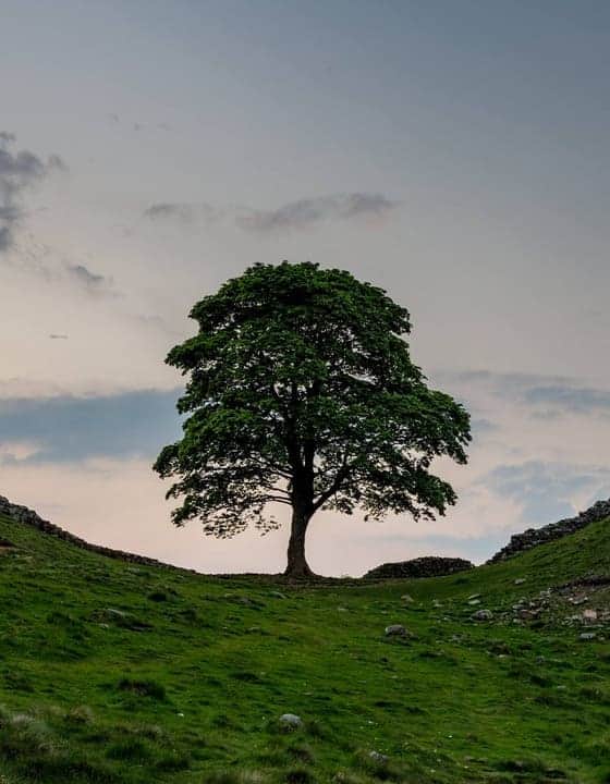 Walking route map for Northumberland National Park